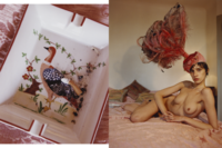 S/S 17 Out of Order Magazine - © Haley Wollens